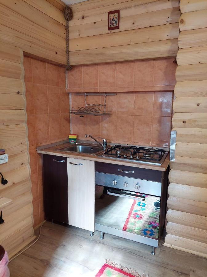 Cabana Dochita Ceahlău المظهر الخارجي الصورة